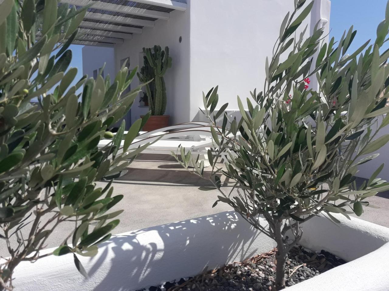 Sun Anemos Resort Oia  Luaran gambar
